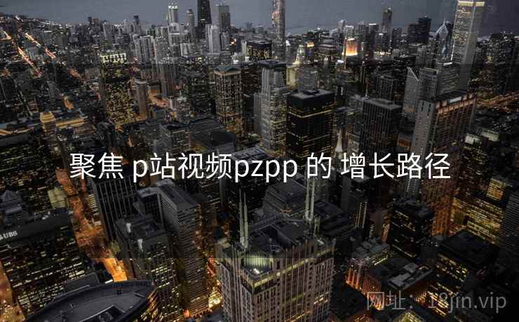 聚焦 p站视频pzpp 的 增长路径  第2张