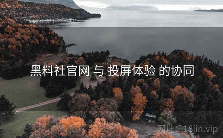黑料社官网 与 投屏体验 的协同  第1张