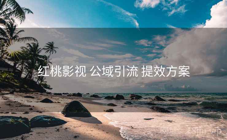 红桃影视 公域引流 提效方案  第1张