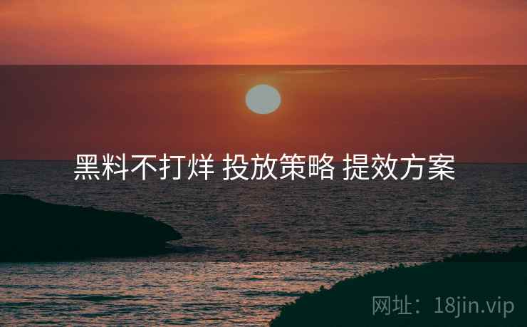 黑料不打烊 投放策略 提效方案  第1张