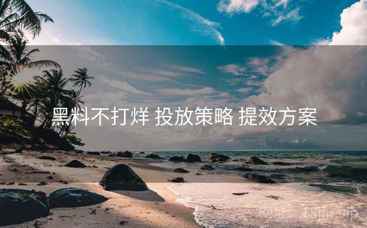 黑料不打烊 投放策略 提效方案  第2张