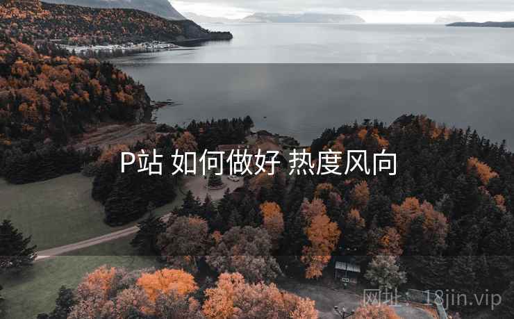 P站 如何做好 热度风向  第2张