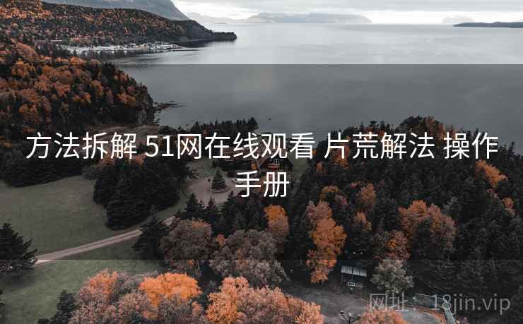 方法拆解 51网在线观看 片荒解法 操作手册  第1张