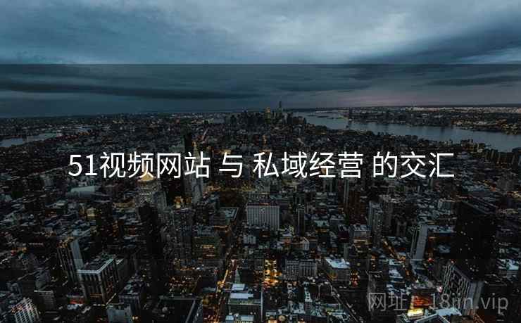 51视频网站 与 私域经营 的交汇  第1张