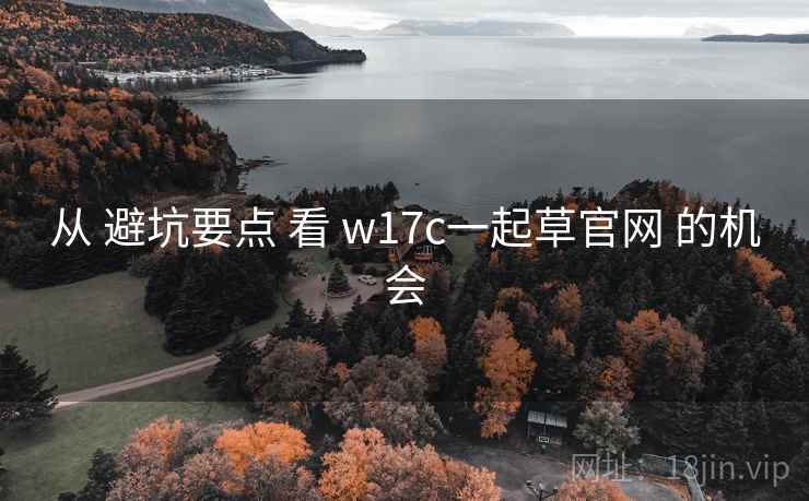 从 避坑要点 看 w17c一起草官网 的机会  第1张