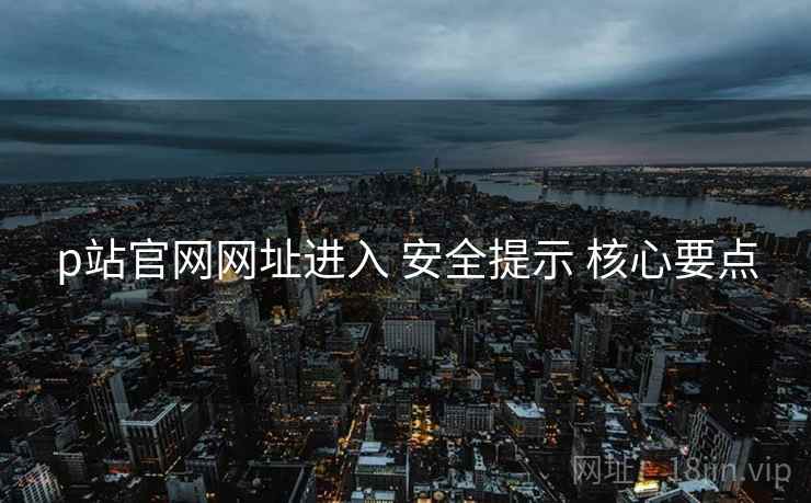 p站官网网址进入 安全提示 核心要点  第1张