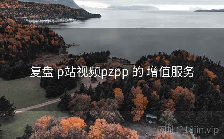 复盘 p站视频pzpp 的 增值服务  第1张