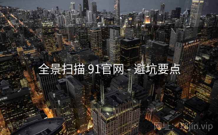 全景扫描 91官网 - 避坑要点  第2张