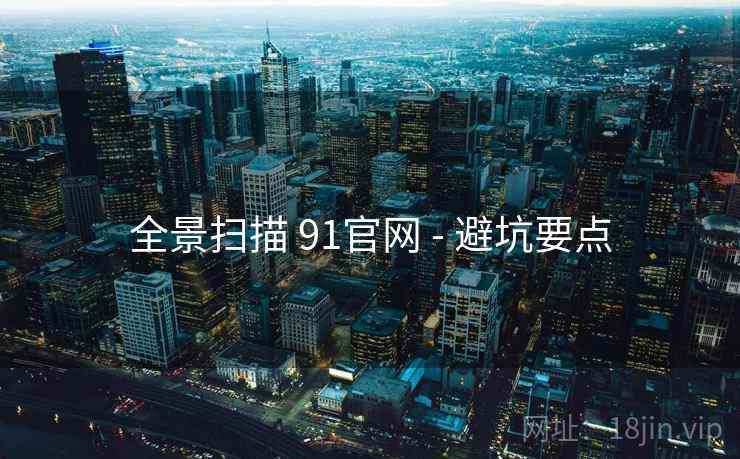 全景扫描 91官网 - 避坑要点  第1张