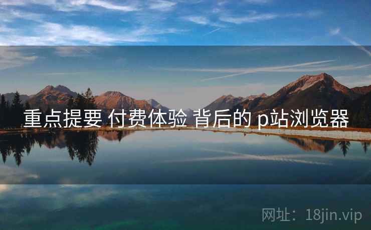 重点提要 付费体验 背后的 p站浏览器  第2张