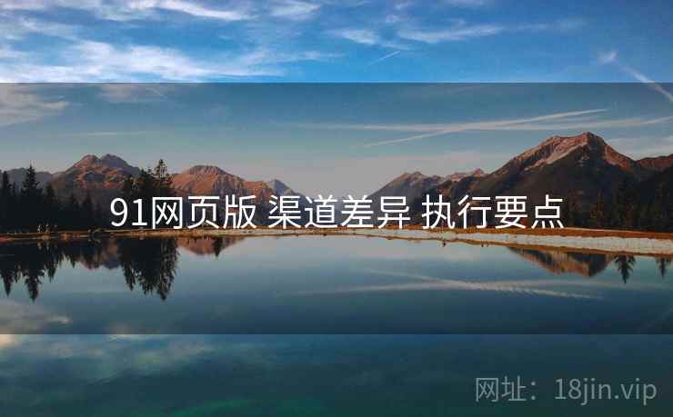 91网页版 渠道差异 执行要点  第1张
