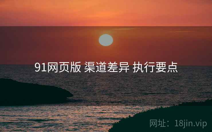 91网页版 渠道差异 执行要点  第2张