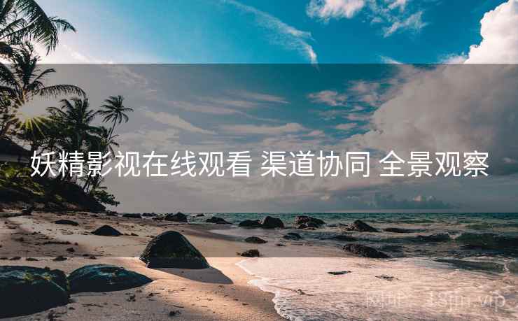妖精影视在线观看 渠道协同 全景观察  第2张