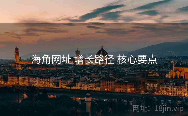 海角网址 增长路径 核心要点  第2张