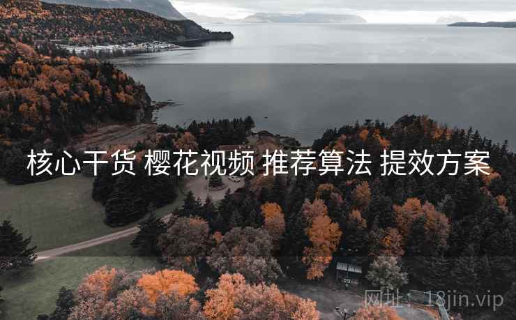 核心干货 樱花视频 推荐算法 提效方案  第2张
