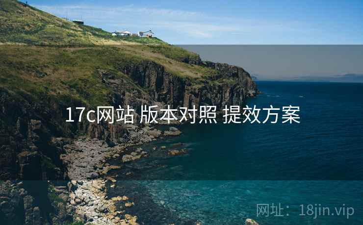 17c网站 版本对照 提效方案  第1张